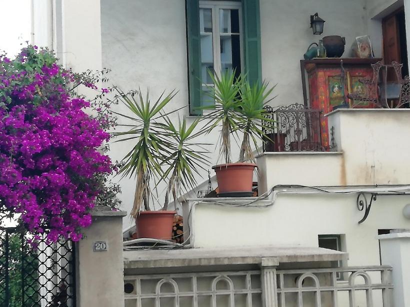Villa Cecile Аяччо Экстерьер фото